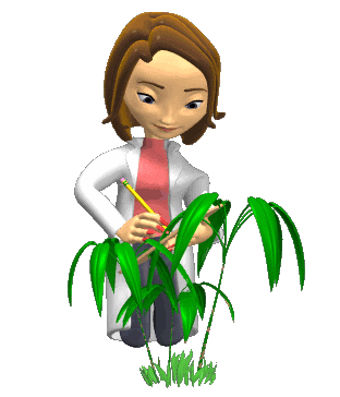 female_scientist_with_plants_hg_clr